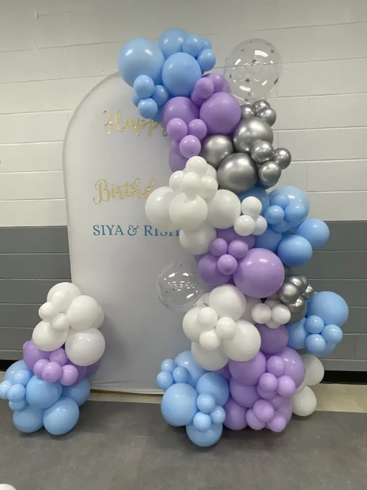 Frozen Theme 2nd Birthday Balloon Decoration